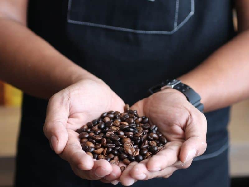 Where does coffee come from?